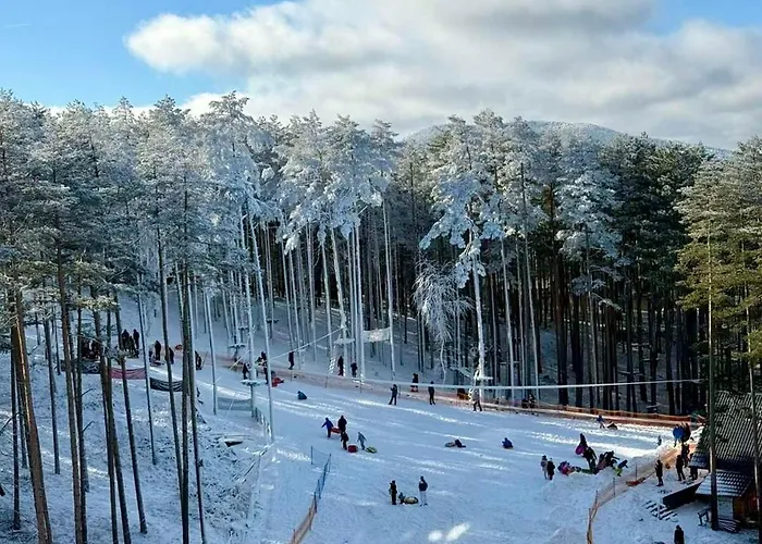 Balkanhill2 S37 Pekovic 公寓 兹拉蒂博尔